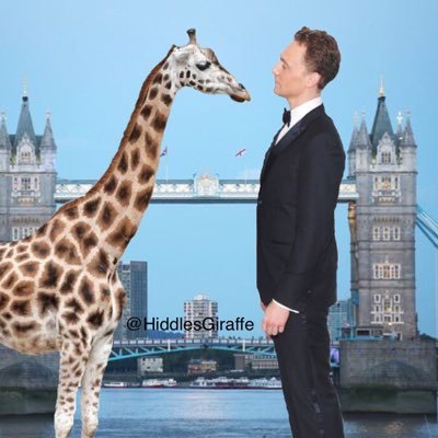 Huge Tom Hiddleston fan! Love cats🐱giraffes🦒intelligent men, 80s🎸Bon Jovi GOT Great British Baking Show, all things🇬🇧, did I mention Tom Hiddleston☺️😍