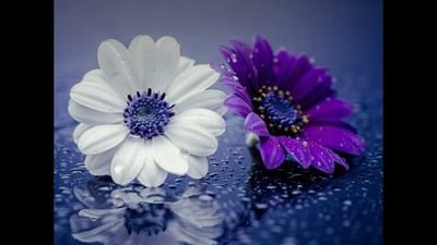 RoRo9908434's profile picture. ‏‏ال‏‏‏مؤهلات العلمية
بكالوريوس محاسبة
ماجستير علوم مالية و مصرفية

خبرة في مجال التدريس