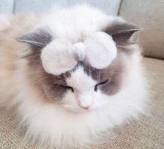 21loole12's profile picture. Hope all the best 4 me :)