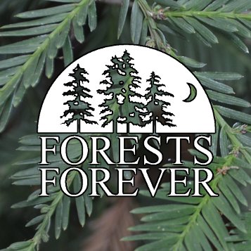 FORESTSFOREVER Profile Picture