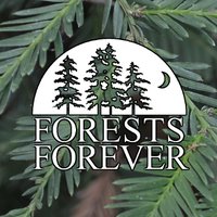 FORESTS FOREVER(@FORESTSFOREVER) 's Twitter Profile Photo