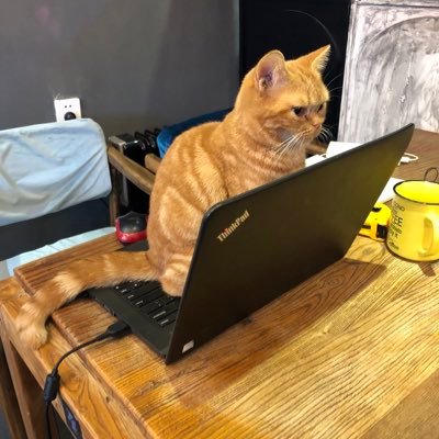 stacktrace0's profile picture. 