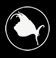 Hipfish -cos we like it! New basketball hoop-love it, Coffee-need it. Templates-hate em!
Custom design-graphics & web,web coding & programming, SEO Specialist