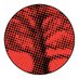 Institute on Inequality & Democracy (@challengeineq) Twitter profile photo Institute on Inequality & Democracy (@challengeineq) Twitter profile photo