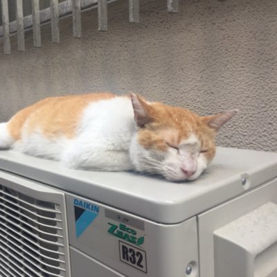 「史上最強の液体(=飲料)、探してます。」自称日本で1番カカオリキュールを持つ人。直近はフランスで酒造りしながら西欧の液体を探索、今は京都で酒造ってたり、音楽よく聴いてたり⇨ #液体自作録/#液体備忘録/#音楽見聞録