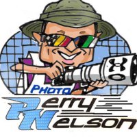 Perry Nelson - @otto_focus Twitter Profile Photo