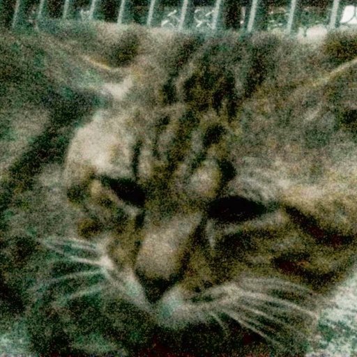 猫とラジオと映画の日々さんのプロフィール画像