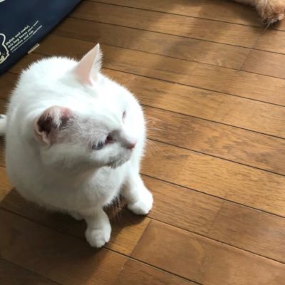 CDhtKJkryagmabV's profile picture. 
