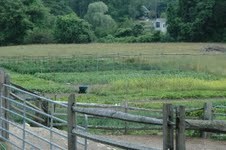 Organic farm in Essex, MA from L'Espalier & Sel de la Terre Chef & Proprietor Frank McClelland