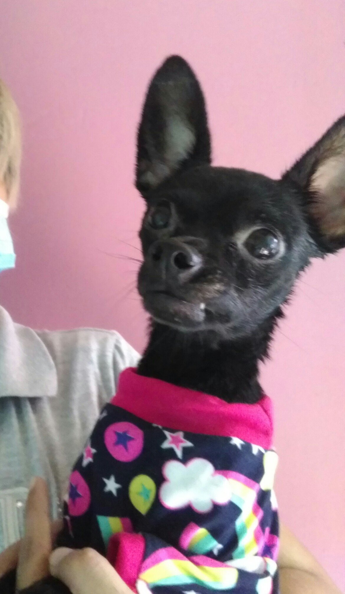 Ri_akihiro's profile picture. Anime, Hallyu Wave, kdrama, jdorama, Noblesse, BTS, ARMY trasher👊, INTJ