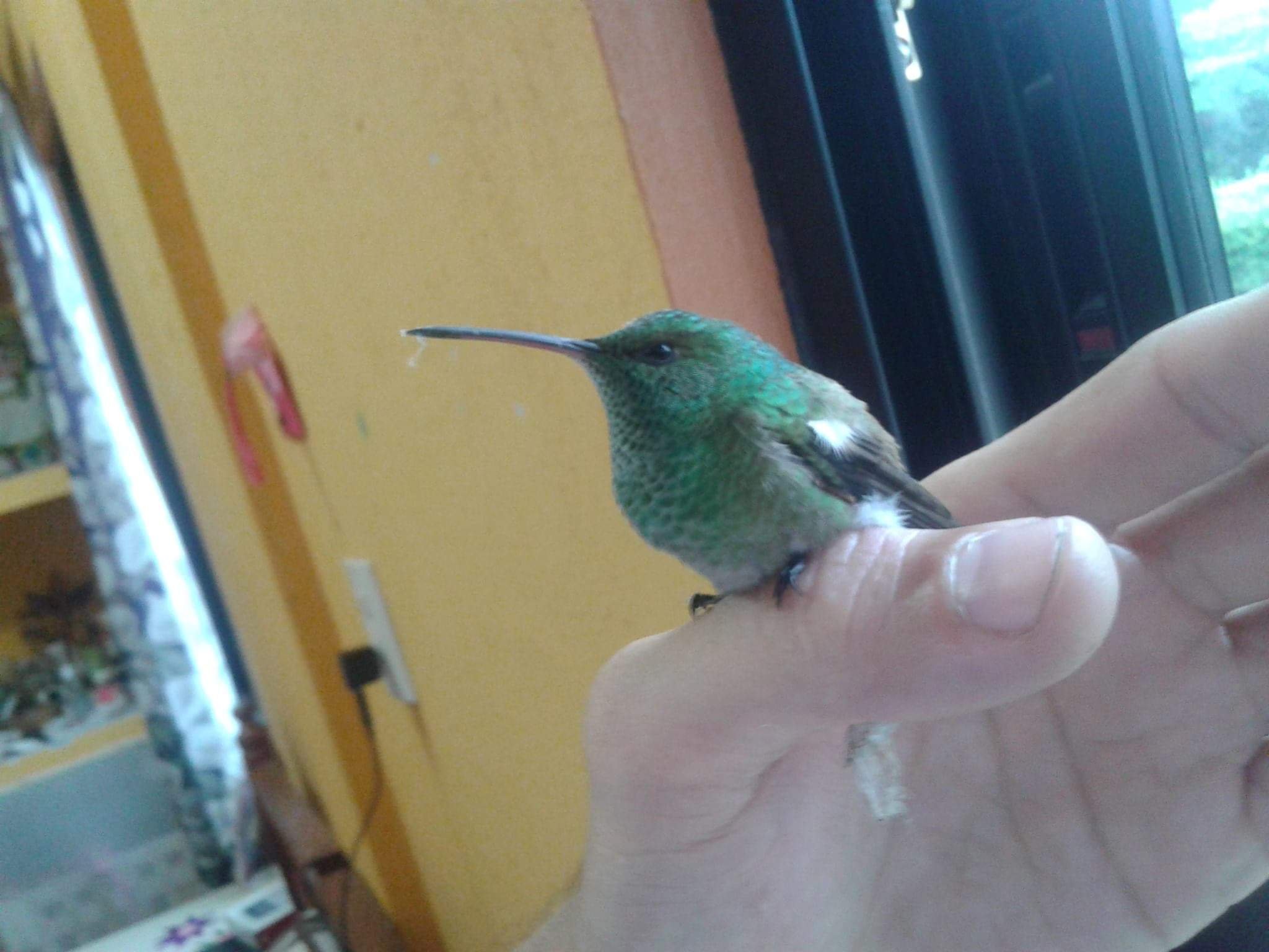 DIEANDLIFE8's profile picture. NO SOY HIPÓCRITA, NO TRATO DE AGRADAR A NADIE SOLO POR SER ACEPTADO, NO SOY PARTE DEL MONTÓN, Y MI FORMA DE SER, PENSAR Y VER LA VIDA NADIE LA CAMBIARA!!!! (,)