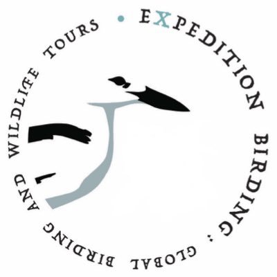 Custom and set departure global birding and wildlife expeditions lead by our expert, passionate & driven expedition leaders | #ExpeditionBirding 🌍 🐾