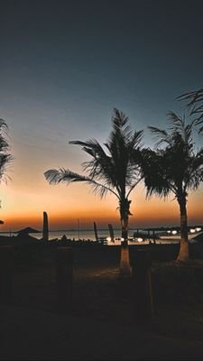 Meriem88995446's profile picture. Hi