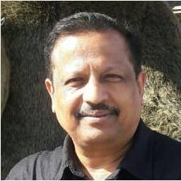 aniruddhaK20's profile picture. 