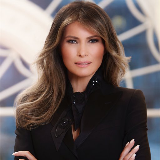 Sofiajames981's profile picture. Home Repair & Improvement Service Provider In Philadelphia, PA