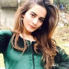 dhruvip77463585's profile picture. SEO service provider.