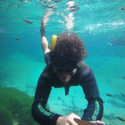 felipepedrini's profile picture. 