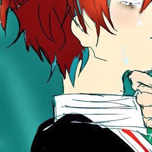 ステラーさんのプロフィール画像