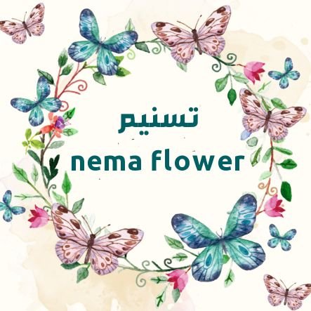 لي حكاية جميلة مع الورد فهو عشقي 🌸
وإدارة الحسابات في منصات التواصل الاجتماعي عملي وشغفي 🍃
أما التميز في كتابة المحتوى الإبداعي والتسويقي فهو هدفي🌸