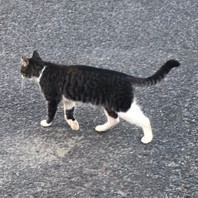 mtnwmwm's profile picture. ROM専アカです フォロバいりません