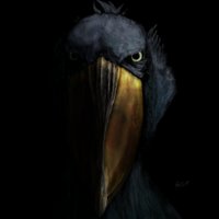 かれん@ao501 (@callen_p) 's Twitter Profile