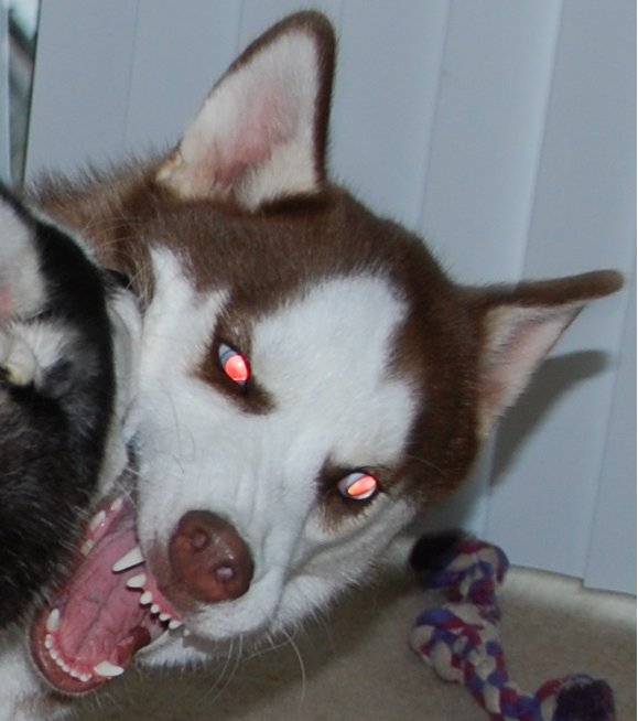 LuckYPa61754182's profile picture. 🐼