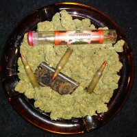 Blunts&Bullets - @FreeKharma Twitter Profile Photo