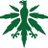DHV_Regensburg's profile image
