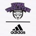 Iowa Wesleyan Tigers (@IWTigers) Twitter profile photo