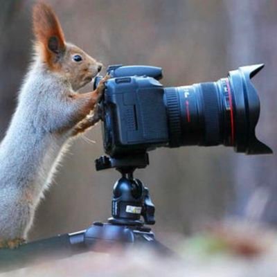 Worldbe73377936's profile picture. I am so the beautiful scene in the world.
the world beauty is enjoyful for us..