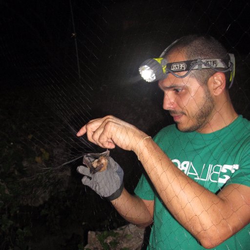 Caribbean bat extinctions: Phylogeography, Ecology, & Paleobiology – PI at the #SLaBB @Rutgers_Newark & @AMNH #AchoPuñeta 🇵🇷
