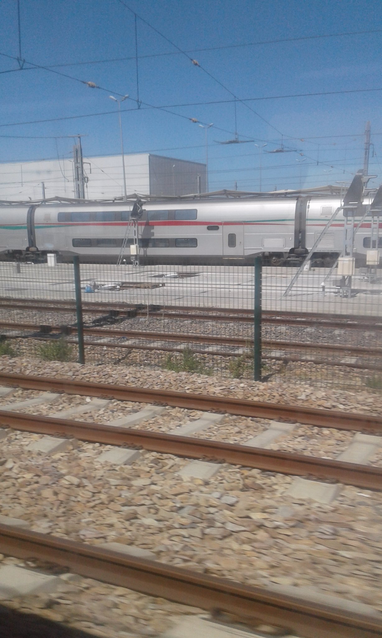 MikeMshay's profile picture. 