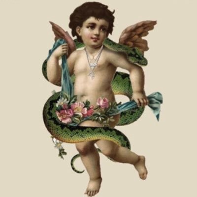 stevechris31's profile picture. 