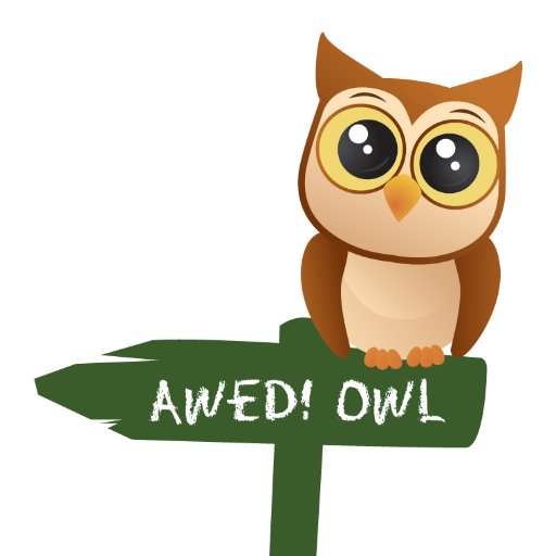 AwedOwl's profile picture. The Wise Bird Witnesses All 🦉