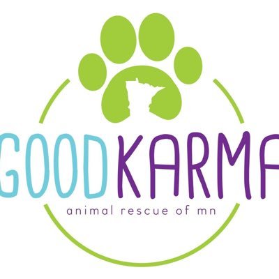 A small, foster-based rescue in the Twin Cities dedicated to saving animals from high-risk situations! https://t.co/uwP21SzytA