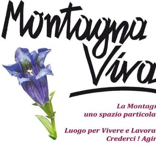 Architetto con Studio a Cavergno in Vallemaggia - Ticino. Organizzatore di eventi e attivo nella promozione della politica per la montagna con MontagnaViva.