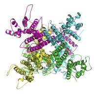Noskov Lab (@noskovlaborato1) 's Twitter Profile