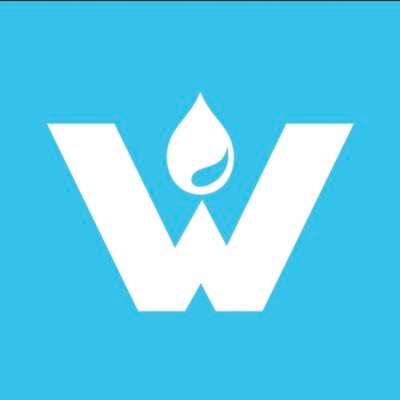 WorldServe Intl Profile