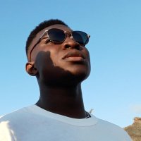 Fid Lion🦁 (@freeelion) 's Twitter Profile