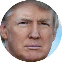 Donald Trump 4 Stocks - @TrumpForStocks Twitter Profile Photo