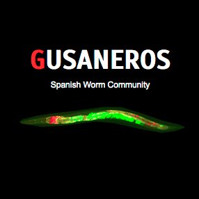 Hola !👋 We are a community of scientists in Spain and Latin America working on the model organism C. elegans    ~~~~~