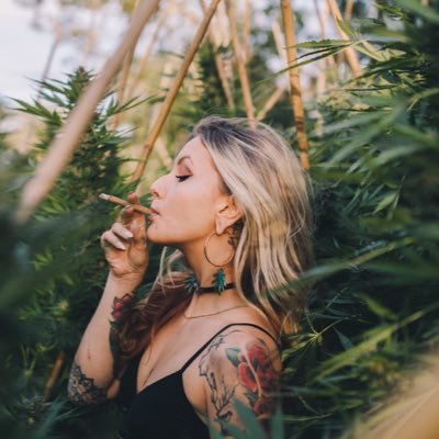 Best Weed Account on Twitter. Follow us to be Entertained with the Best High Thoughts and Stories