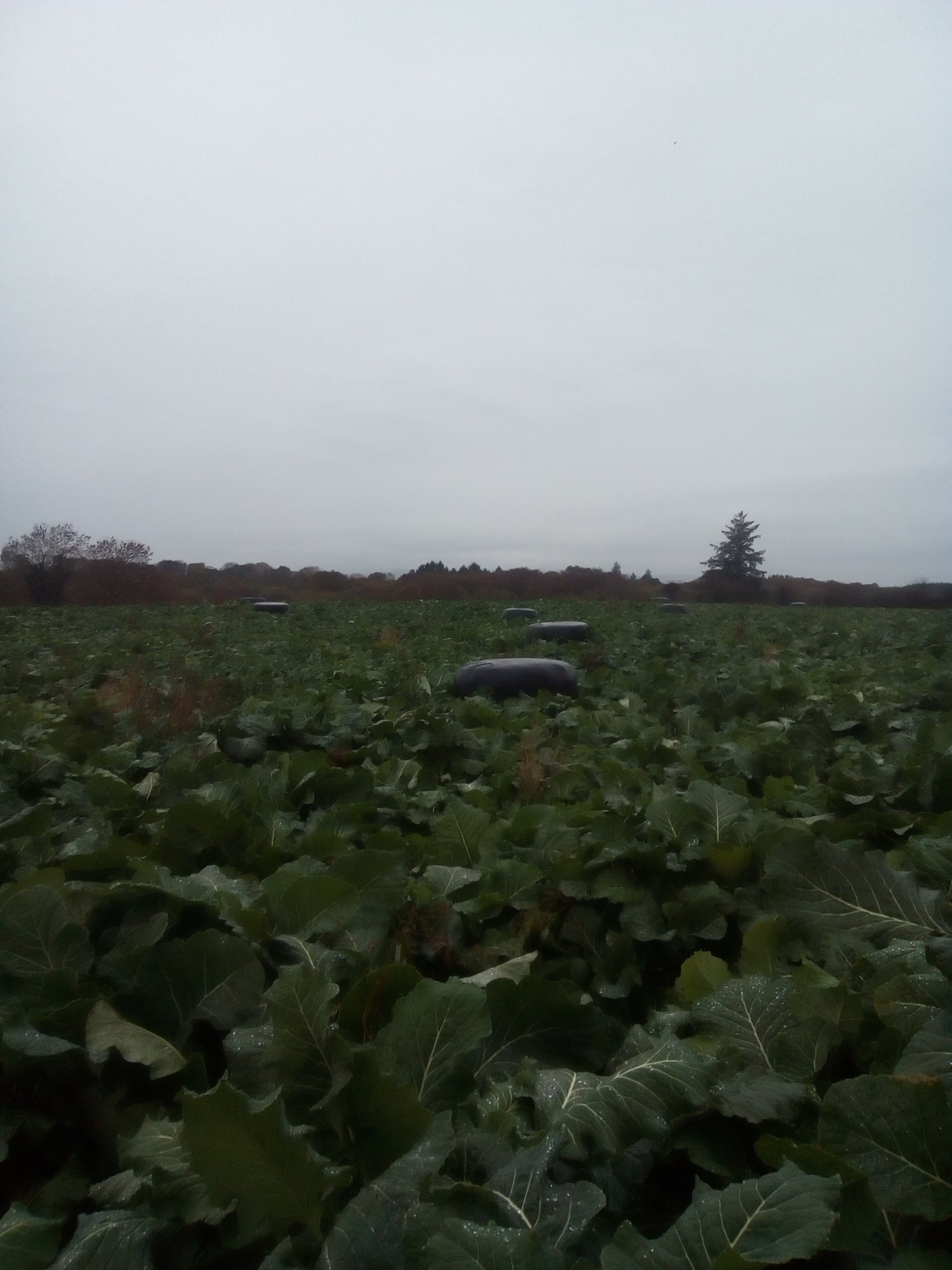 ebit2020's profile picture. 