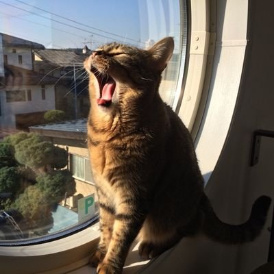 vega2010J1js's profile picture. 