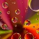 Candice Agan - @candice0708 - Twitter