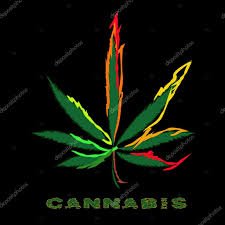 musical_ken's profile picture. That color green is always there when you need it