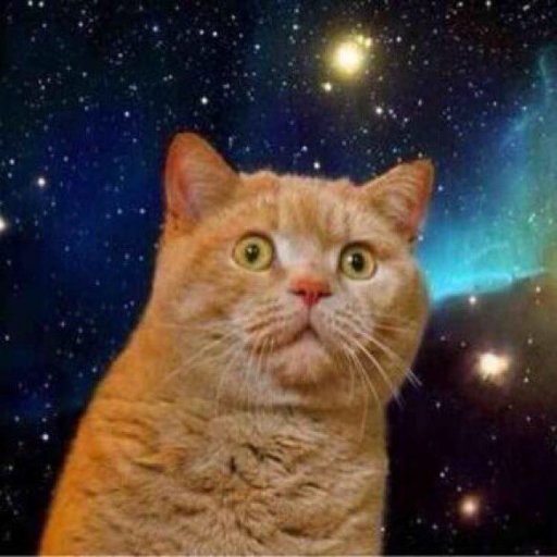 しろやまねこさんさんのプロフィール画像