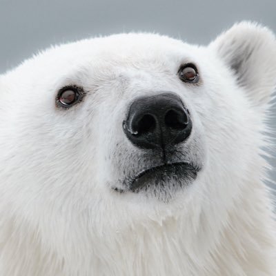 たぶろうさんのプロフィール画像