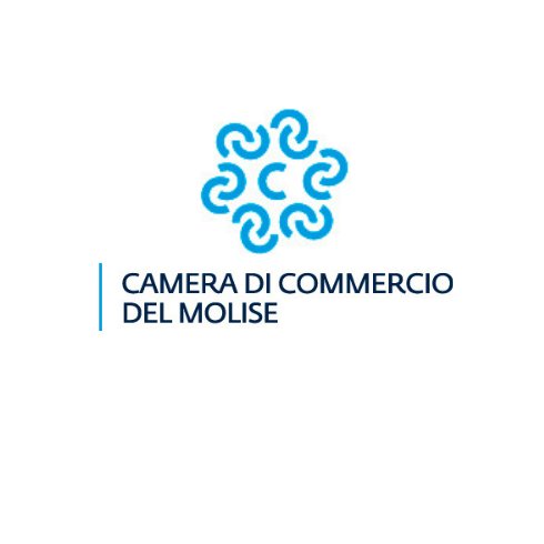 Profilo Twitter ufficiale della Camera di Commercio del Molise