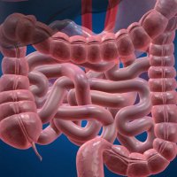 Grup Cirurgia Colorectal VINCat (@grupvincat) 's Twitter Profile Photo Grup Cirurgia Colorectal VINCat (@grupvincat) 's Twitter Profile Photo